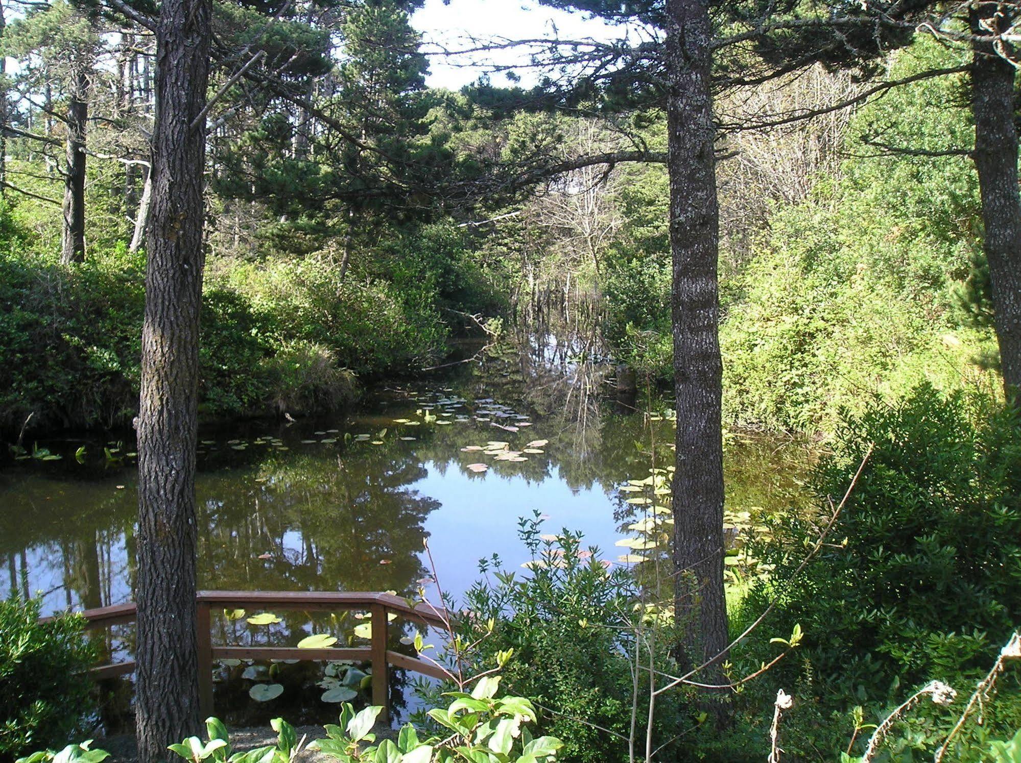 Whaler'S Rest Rv & Camping Resort Holiday Beach Eksteriør bilde